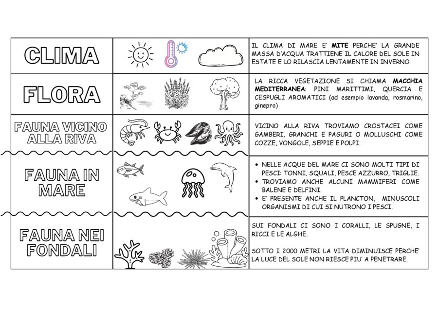 L'ambiente mare - SCHEMA CLIMA - FLORA - FAUNA