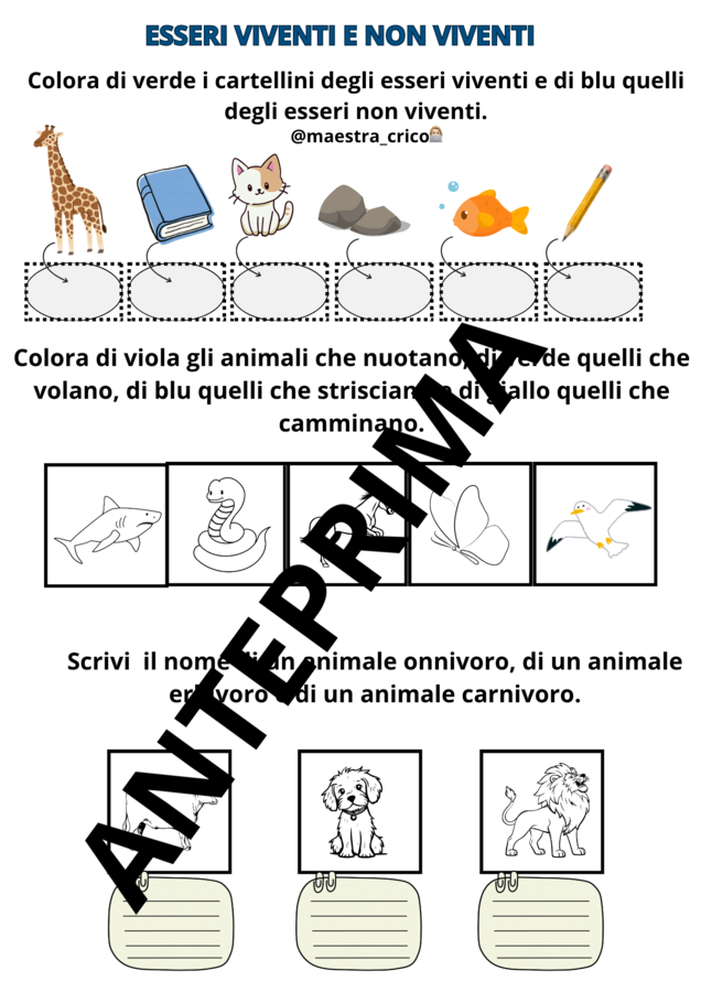VERIFICA DI SCIENZE CLASSE PRIMA