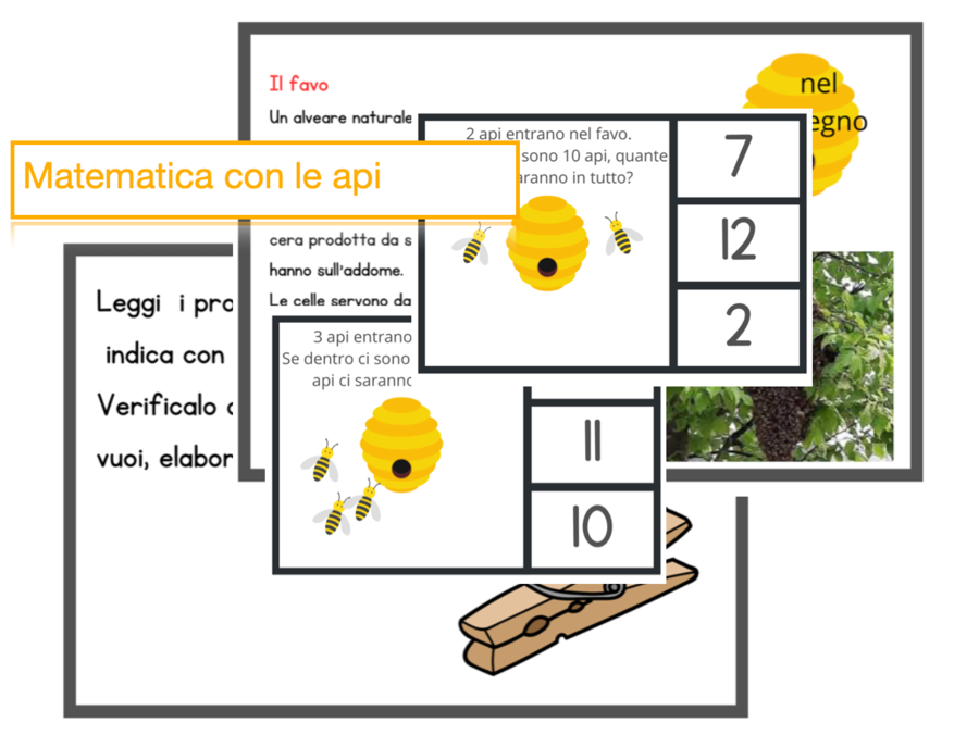 Matematica con le api