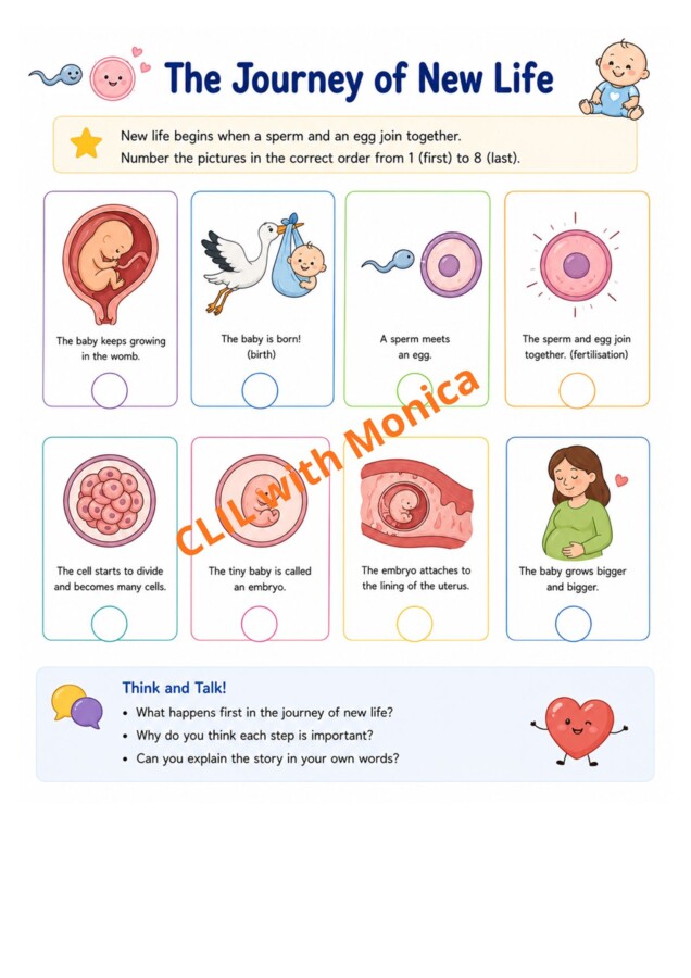 CLIL Science The Human Body classe 5^