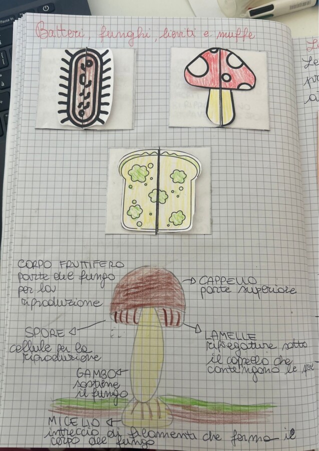 Quaderno completo di scienze classe quarta