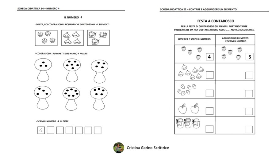 LE SCHEDE DIDATTICHE DI MATEMATICA...MENTE FACILE 1