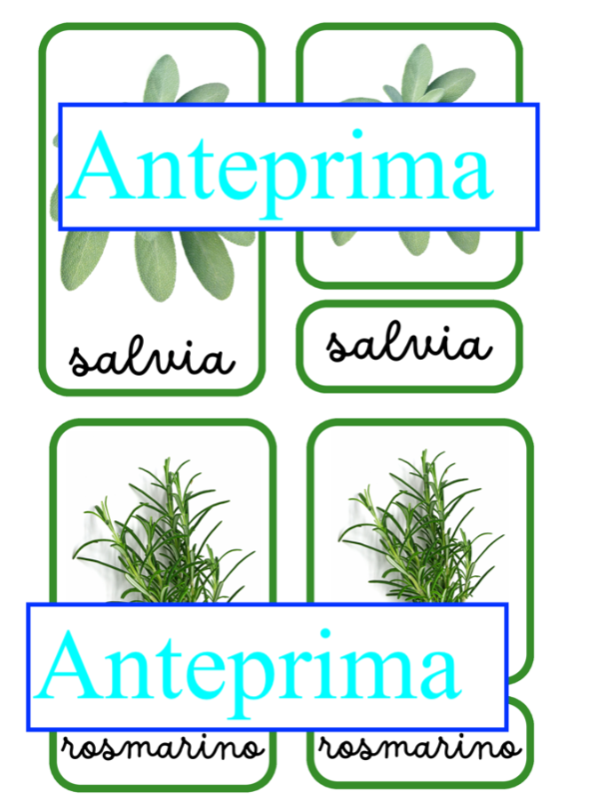 Nomenclatura arricchita delle erbe aromatiche