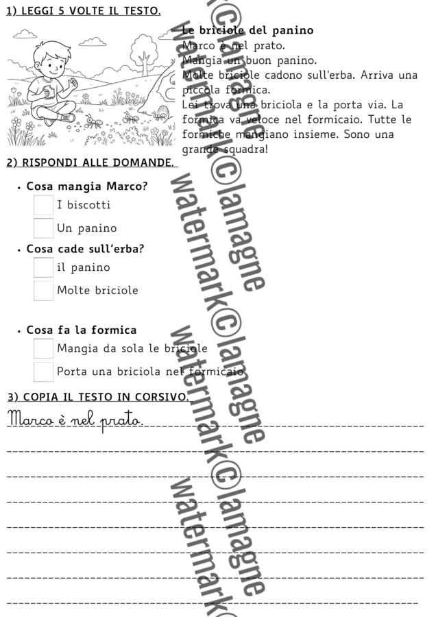 PRIMAVERA - Testi di lettura e comprensione