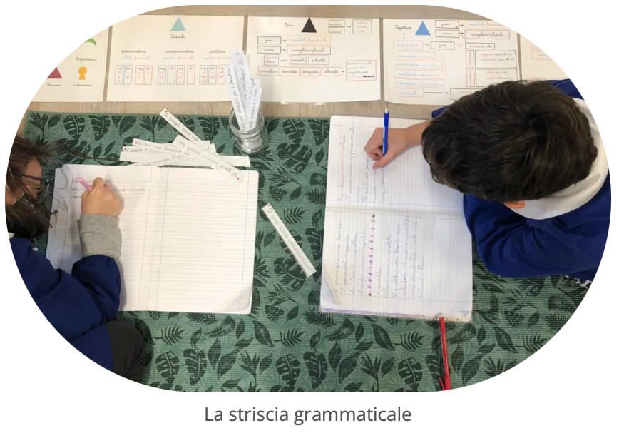 La striscia dell'analisi grammaticale