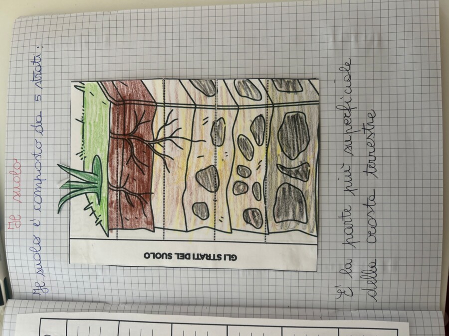 Quaderno completo di scienze classe quarta