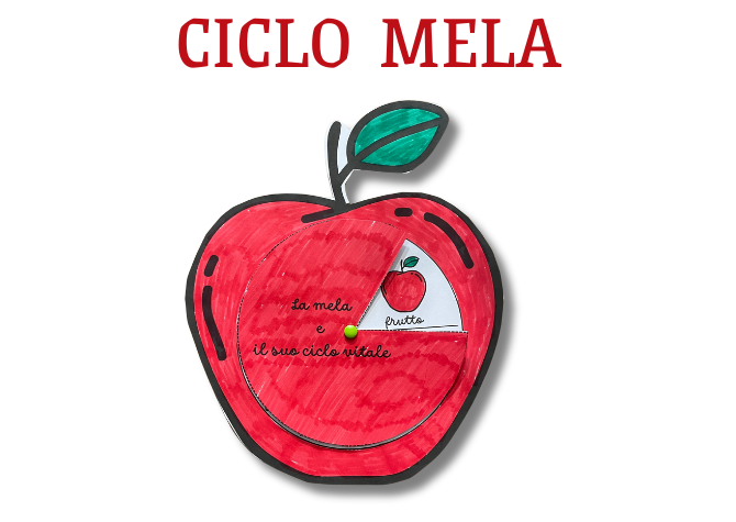CICLO MELA