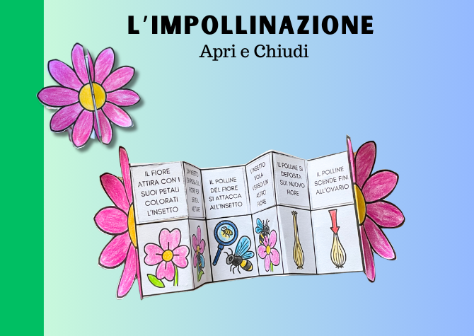 L'impollinazione