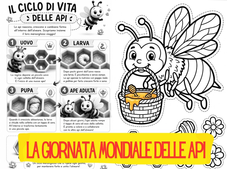 GIORNATA MONDIALE DELLE API . SCHEDE DIDATTICHE DIVERTENTI