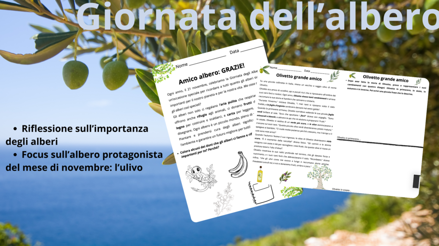 Giornata degli alberi_L'ulivo