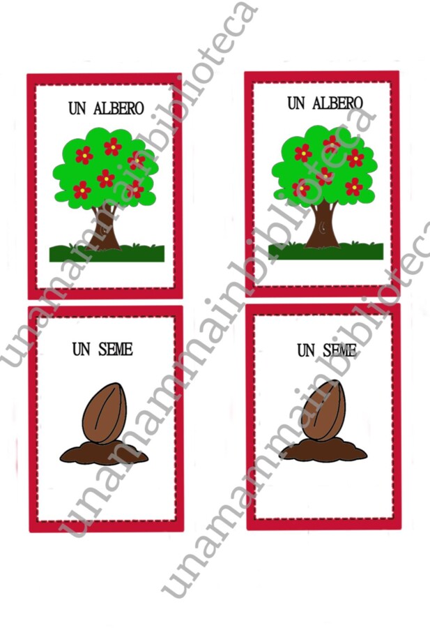 Ci vuole un fiore ( Campo d'esperienza : i Discorsi e le Parole)
