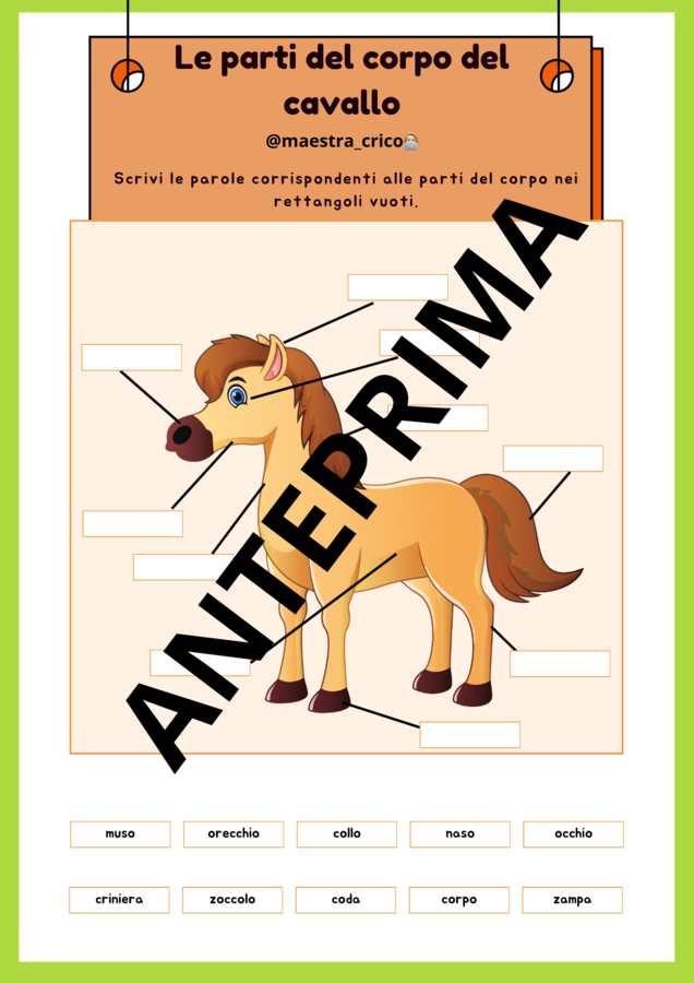 PERCORSO SUGLI ANIMALI