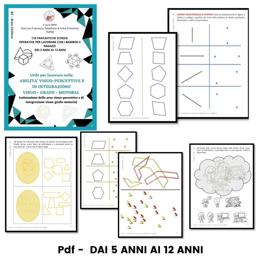 118 Schede operative delle abilita' visuo-percettive e di integrazione visuo-grafo-motoria