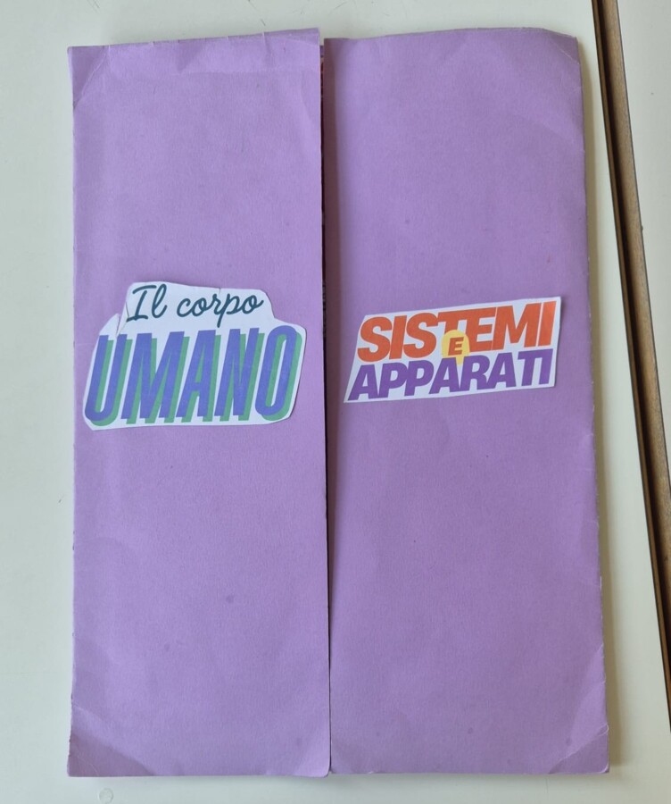 Lapbook "Sistemi e apparati del corpo umano" - classe quinta primaria