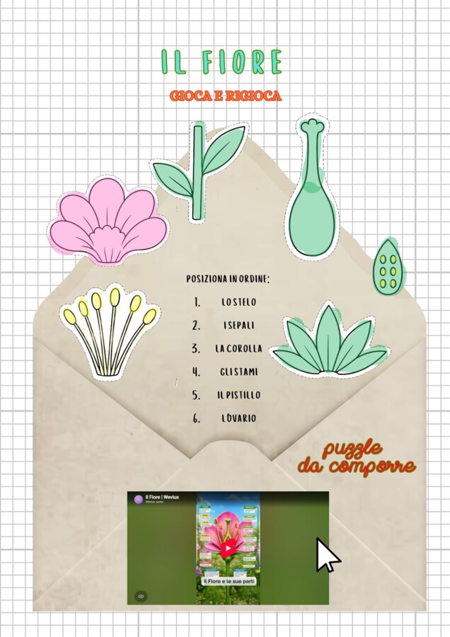 Kit completo scienze e tecnologia in classe seconda primaria quaderno + schede
