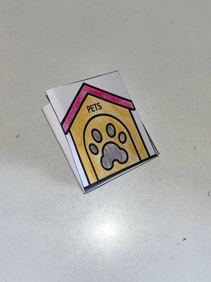 Lapbook Pets