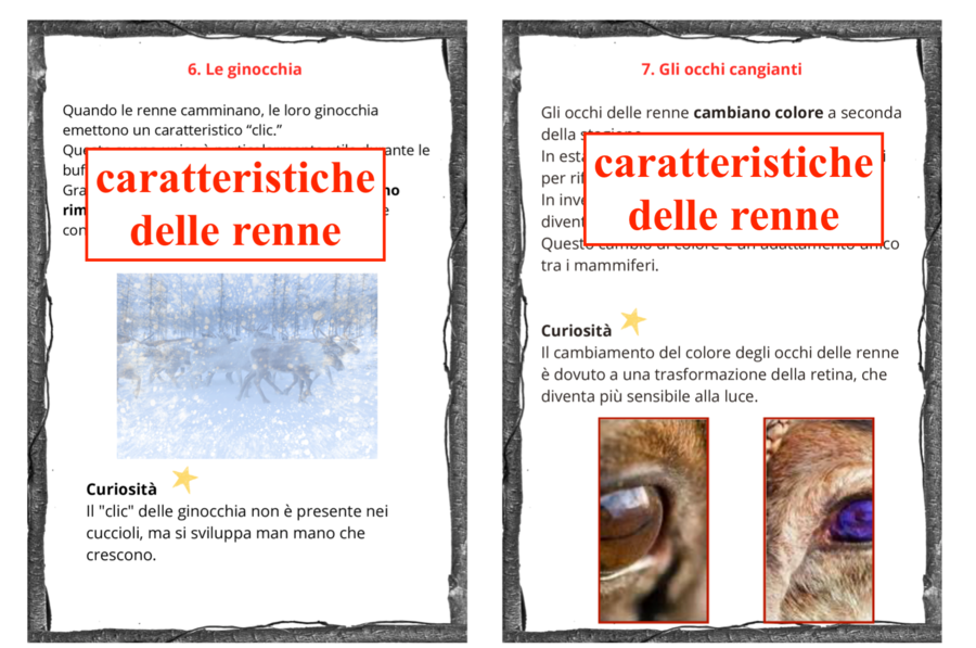 Tra natura e matematica; 11 carte per conoscere le renne con due opzioni per la didattica a stazioni(matematica/italiano) cl: III/V