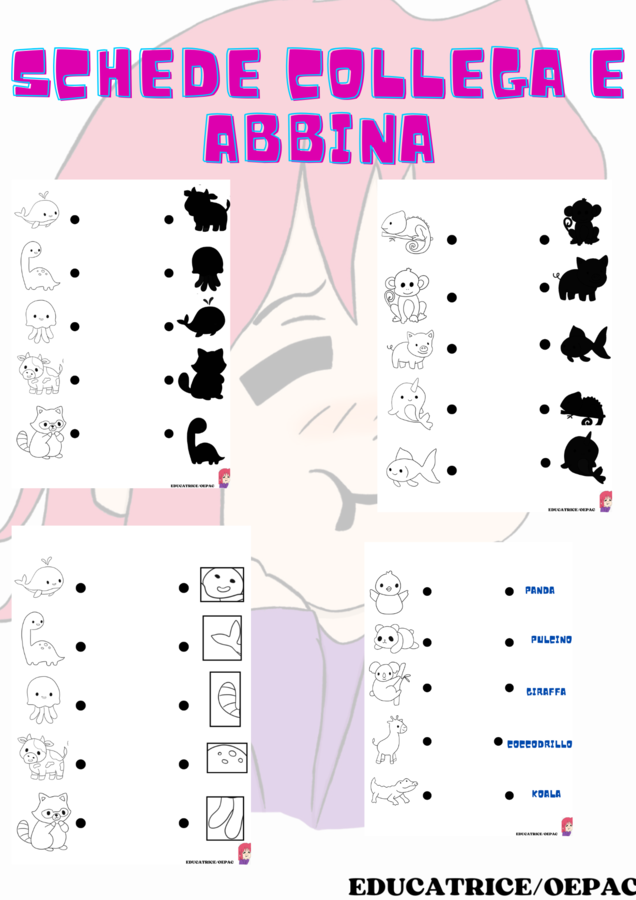 schede didattiche collega e abbina