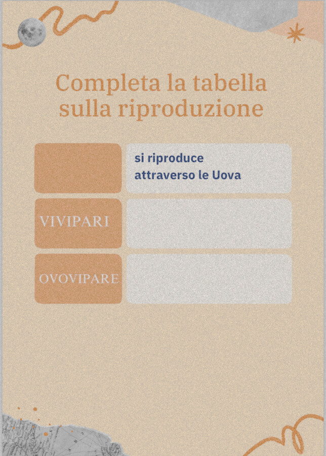 Verifica sugli invertebrati