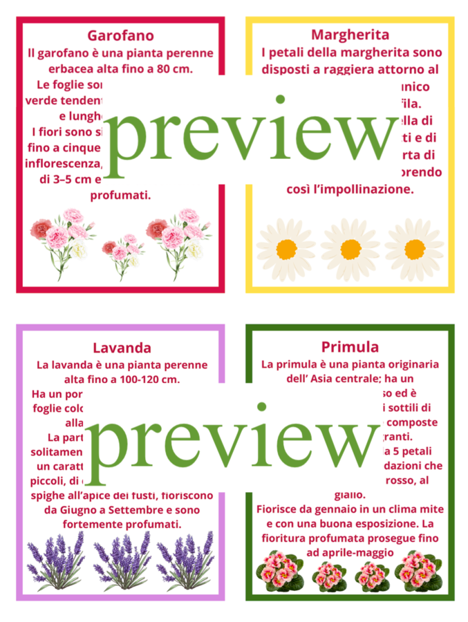 Primavera tra matematica e botanica