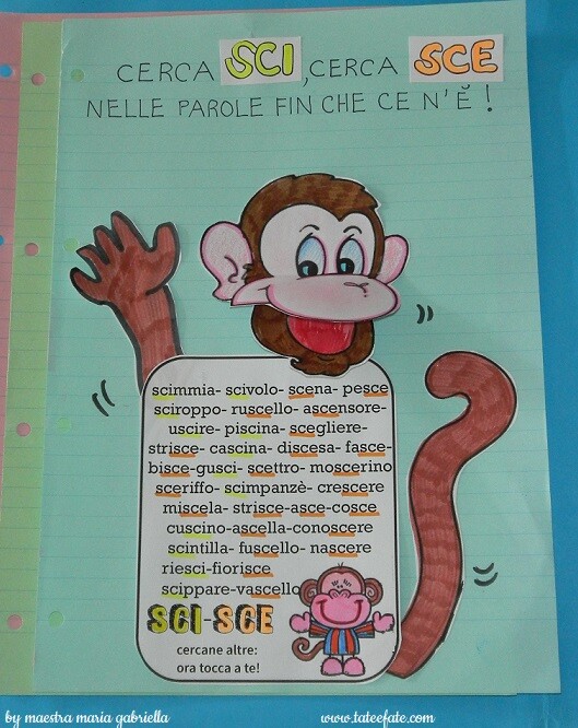 cerca SCI cerca SCE ora tocca a te!
