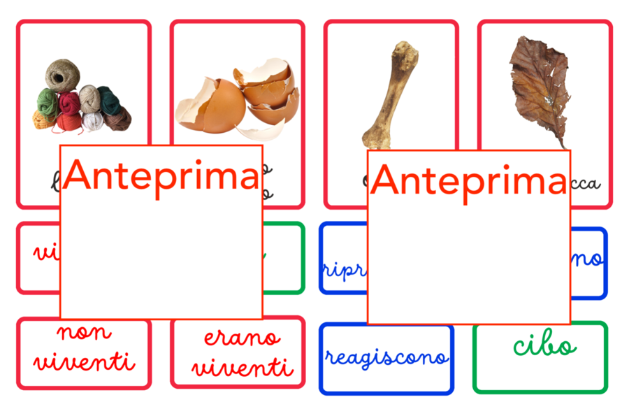 Esseri viventi, non viventi e che erano viventi; un percorso concreto per il riconoscimento e la categorizzazione