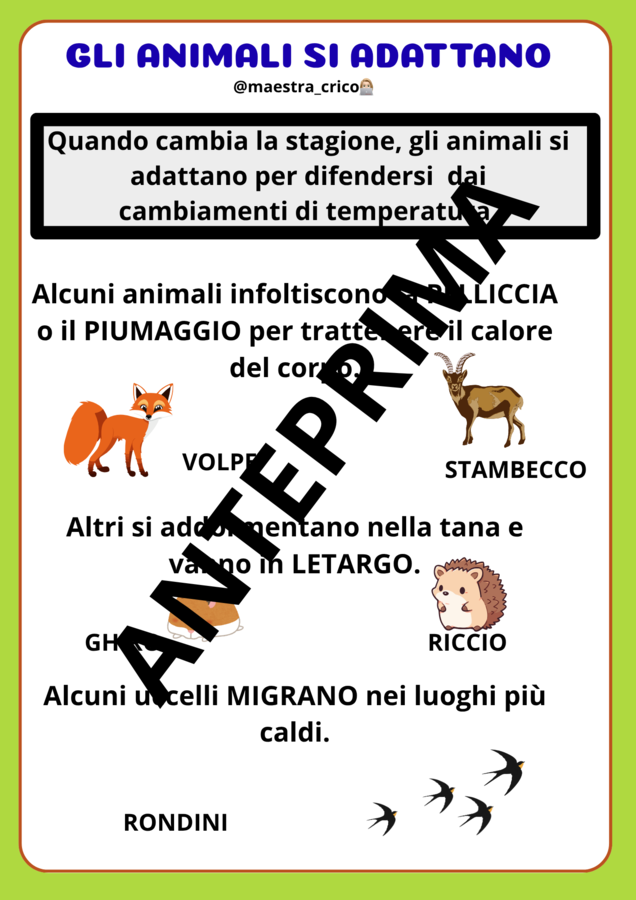 PERCORSO SUGLI ANIMALI