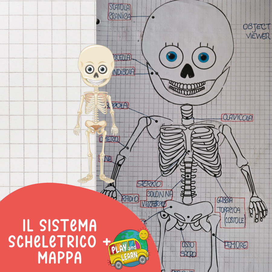 IL SISTEMA SCHELETRICO in tre versioni + mappa da completare