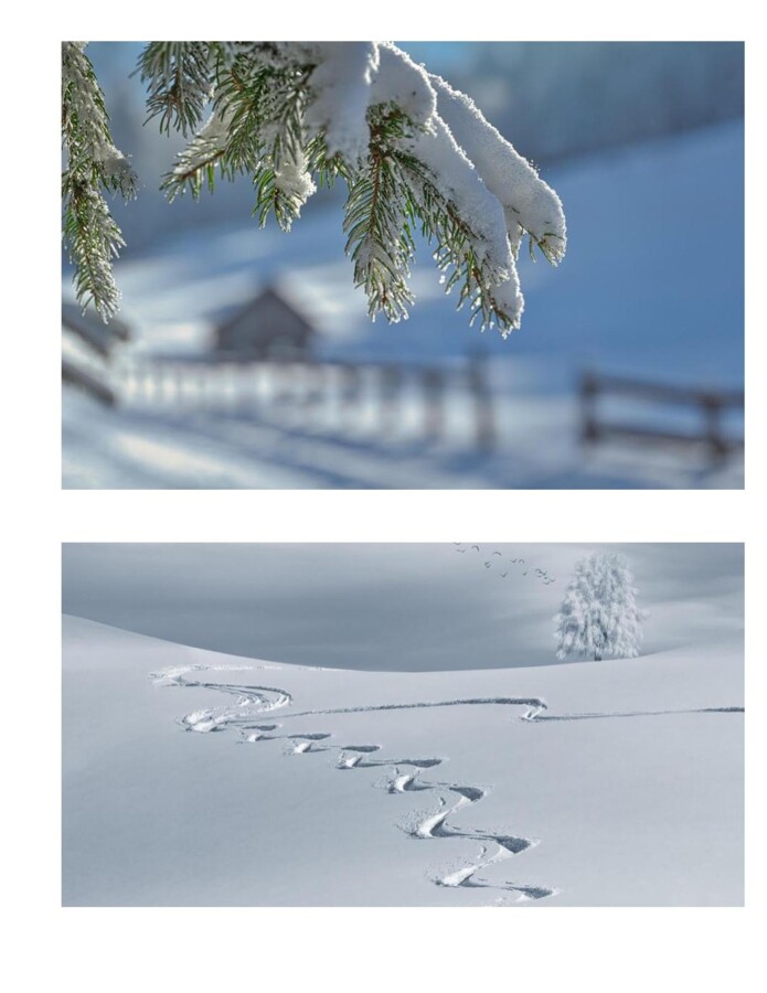 Unità Didattica d'apprendimento: " Tra la neve"