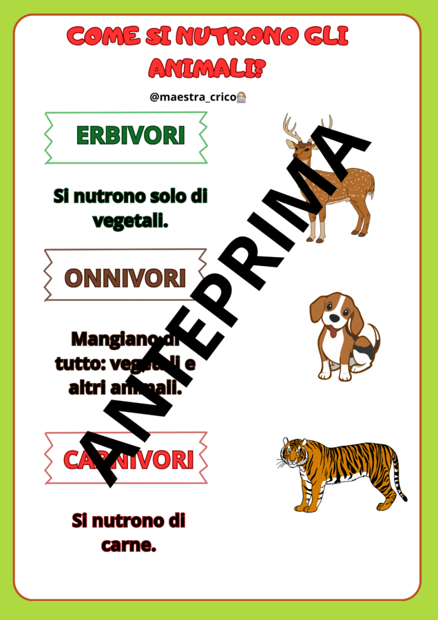 PERCORSO SUGLI ANIMALI