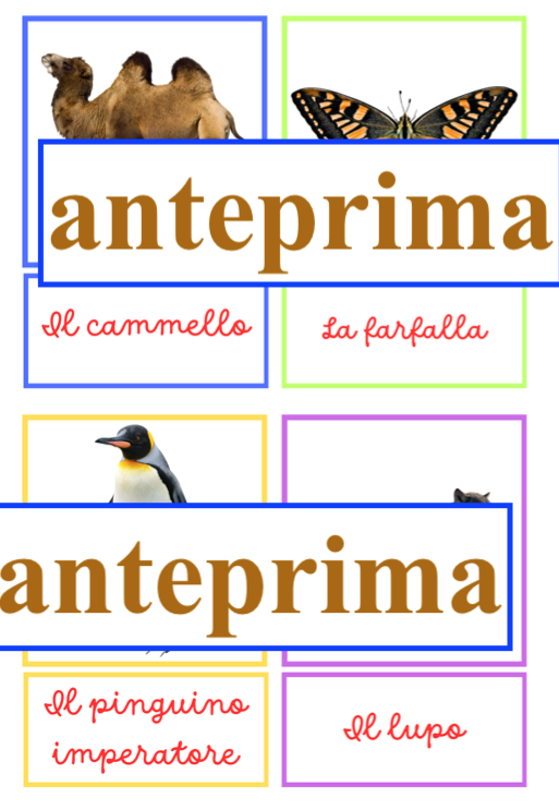 Carte di copiatura/ dettato con autocontrollo