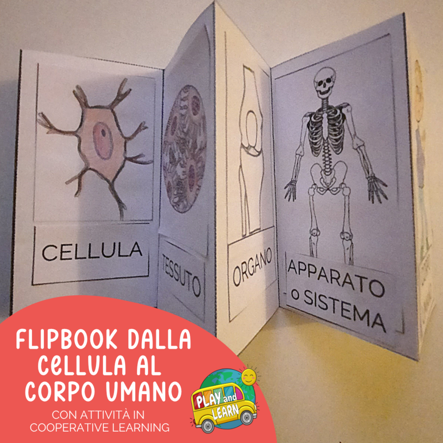 FLIPBOOK - DALLA CELLULA AL CORPO UMANO