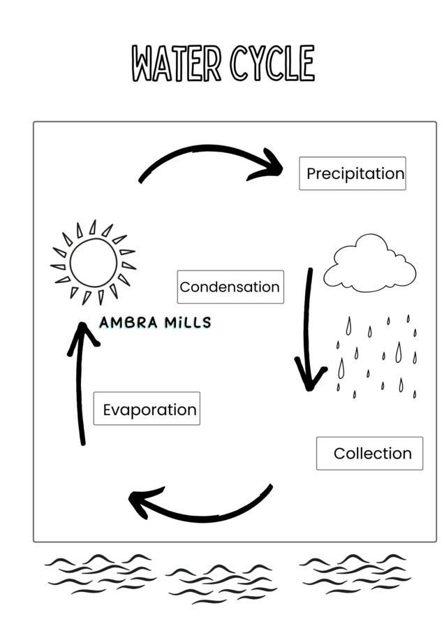Risorsa in inglese sul Ciclo dell'acqua