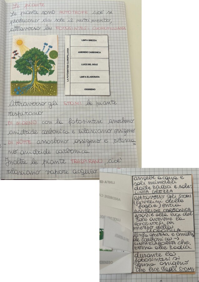 Quaderno completo di scienze classe quarta