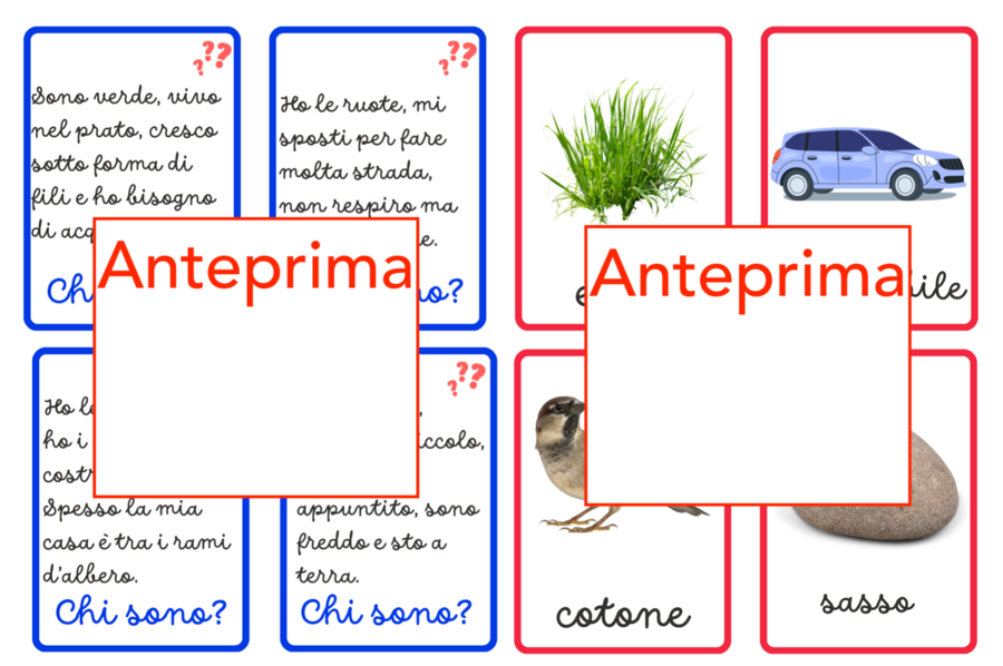 Esseri viventi, non viventi e che erano viventi; un percorso concreto per il riconoscimento e la categorizzazione