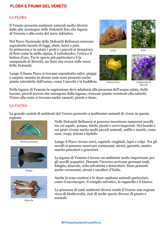 Viaggio attorno all’Italia: Veneto