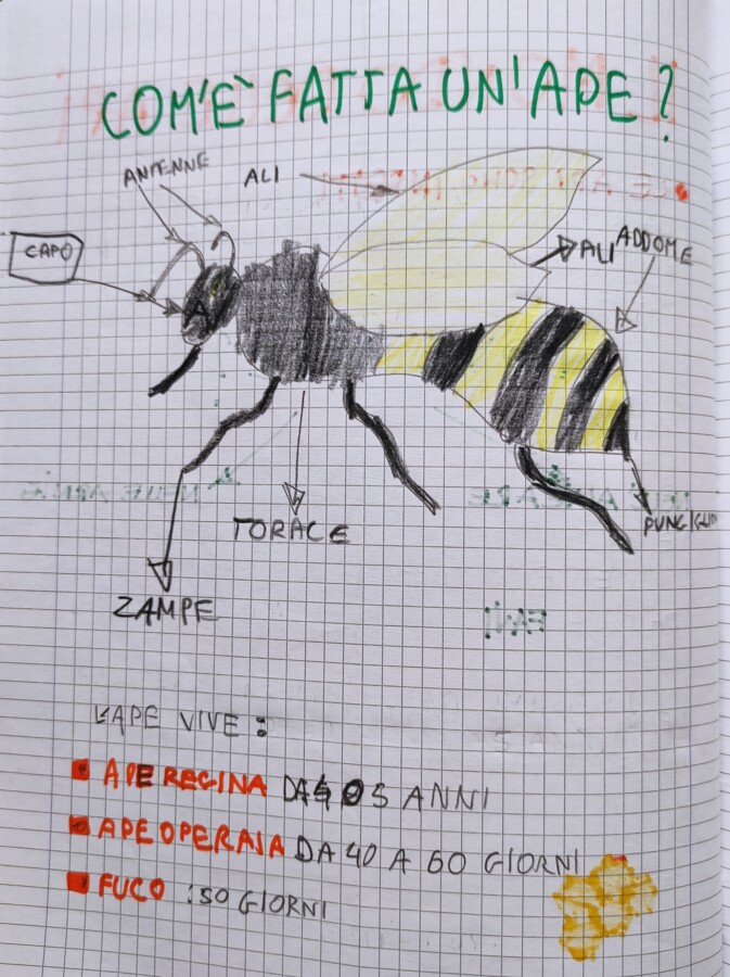 QUADERNO DI SCIENZE classe 3^ - per tutto l'anno scolastico -