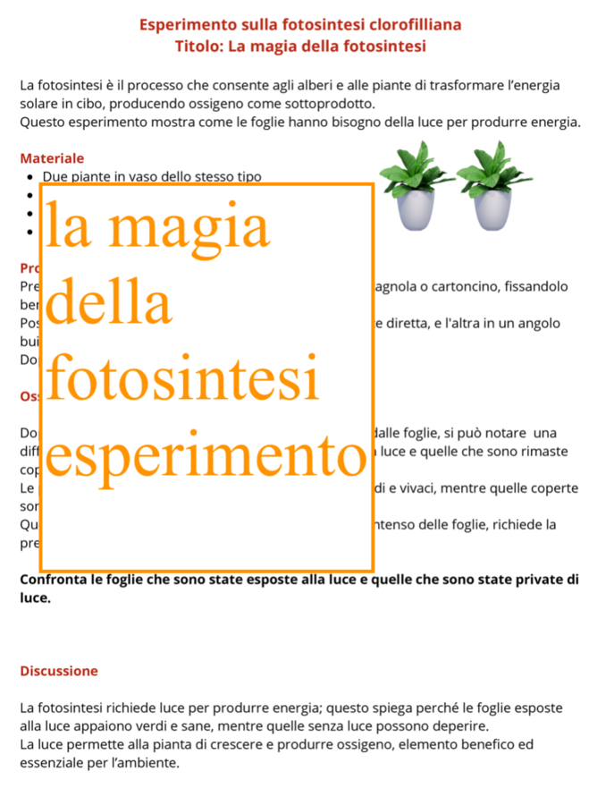 Alberi e ambiente: 4 esperimenti per incuriosire e comprendere-Giornata degli alberi-per tutte le classi