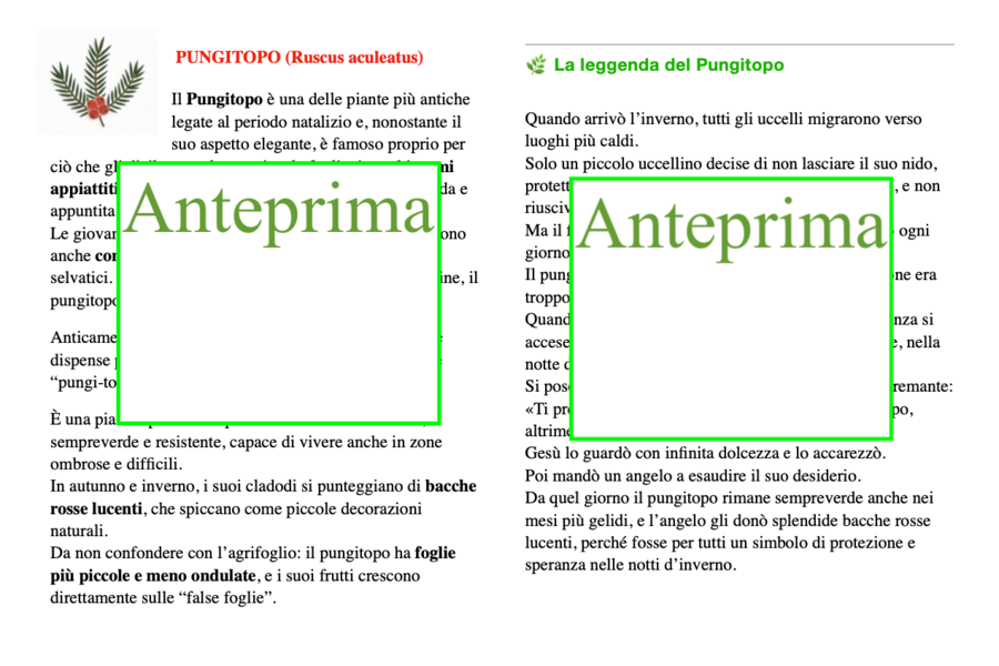 Natale tra piante e fiori-le piante simbolo del Natale- un percorso tra botanica, leggende e attività multidisciplinari