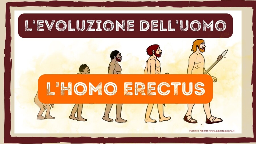 L'HOMO ERECTUS - video lezione di storia -