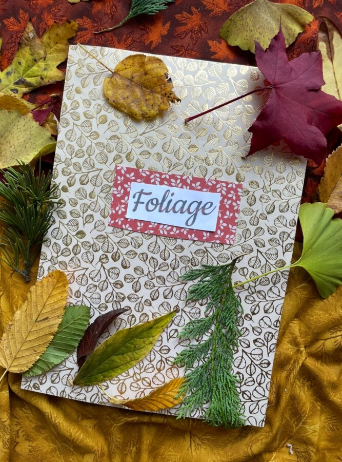 FOGLIE E FOGLI (ERBARIO ALLA SCOPERTA DELLE FOGLIE D'AUTUNNO)