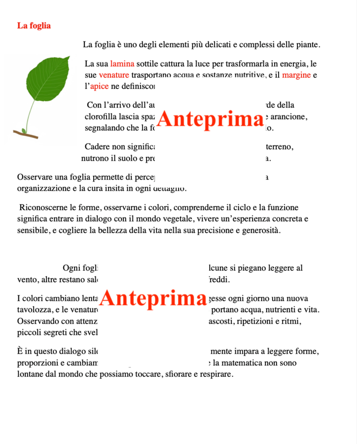 Foglie e matematica; problemi con pillole scientifiche per contare, misurare e scoprire