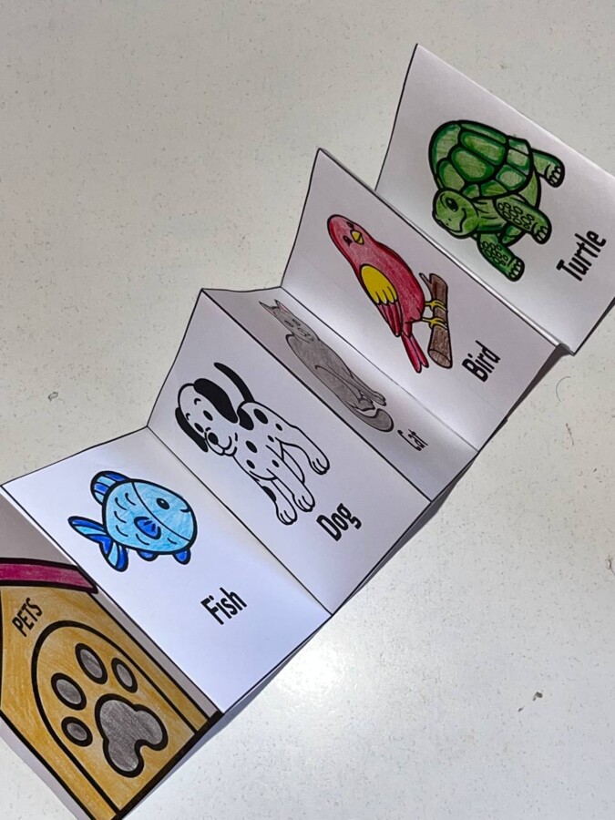 Lapbook Pets