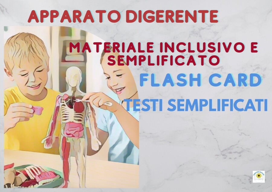 APPARATO DIGERENTE