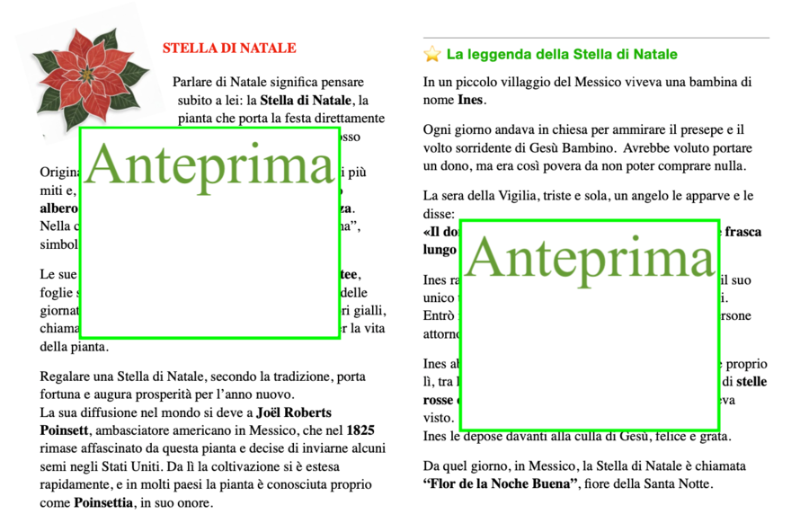 Natale tra piante e fiori-le piante simbolo del Natale- un percorso tra botanica, leggende e attività multidisciplinari