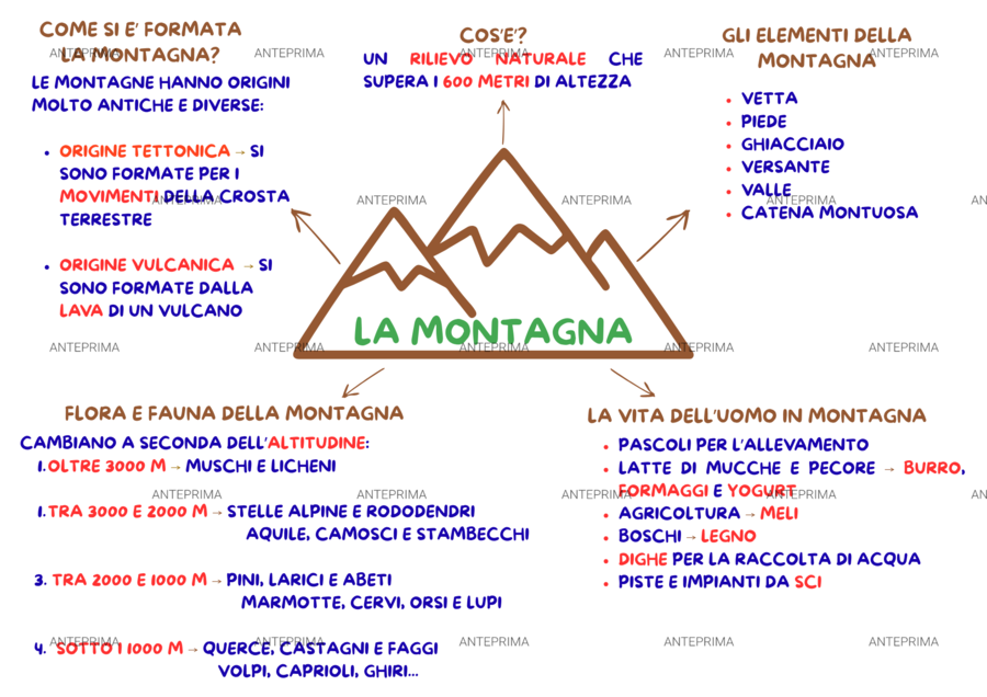 Mappa concettuale_ "la montagna"_ cl. 3^ primaria