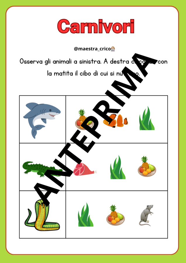 PERCORSO SUGLI ANIMALI