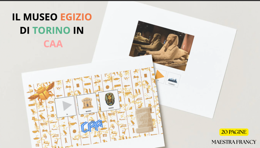IL MUSEO EGIZIO DI TORINO IN CAA