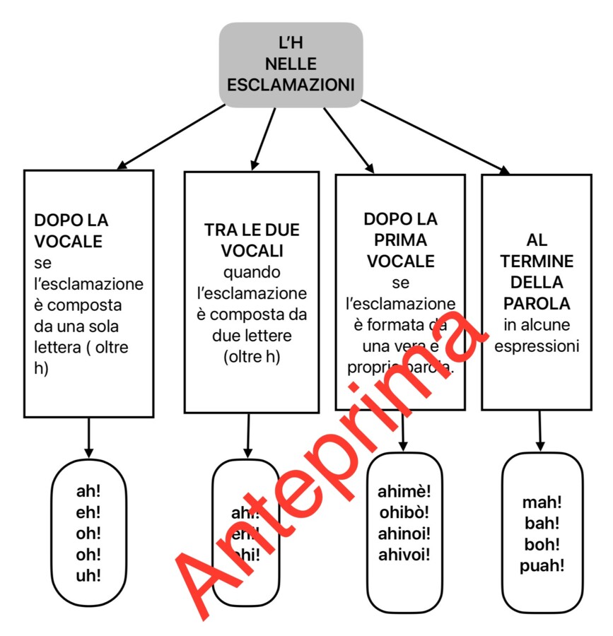L’H nelle esclamazioni