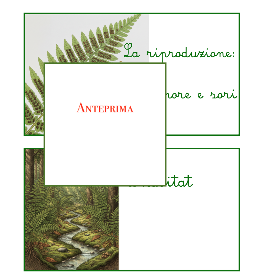 Tempo di spore:le felci-un percorso tra botanica, storia, dinosauri e poesia-per tutte le classi
